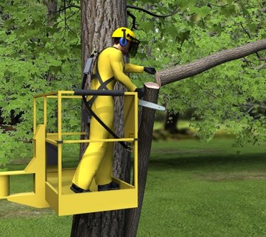 Veilig gebruik van hoogwerkers bij de Boomverzorging Veilig gebruik van hoogwerkers bij de Boomverzorging